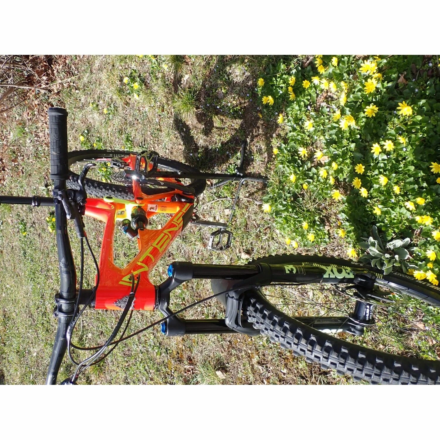 VTT Tout Suspendus Intense - XL - 27.5'' 5 VTT Tout Suspendus Intense - XL - 27.5'' – Image 3